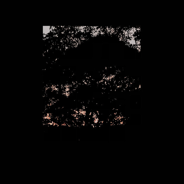 Soft Sighing Dusk I Never See You