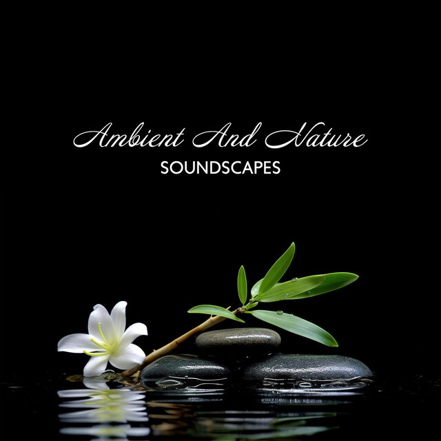 Ambient And Nature Soundscapes - Relaxation And Mindfulness Boost: Spa Ambiance