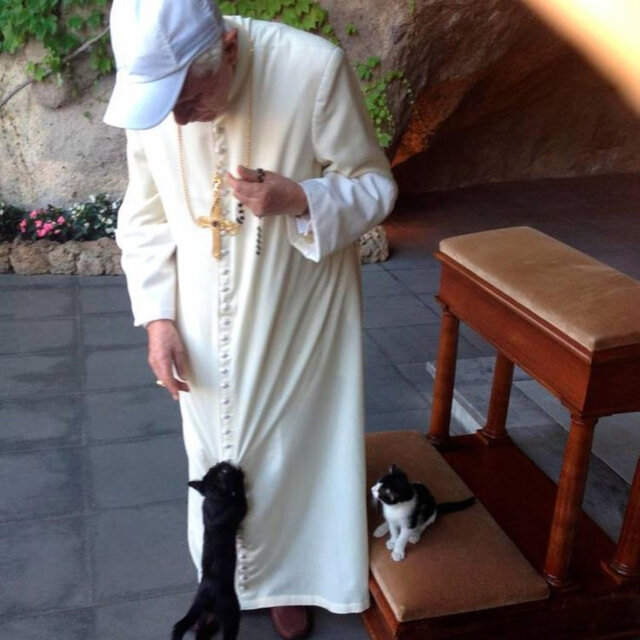 COMME LE PAPE