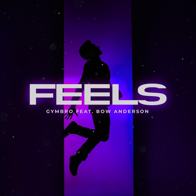 Feels (feat. Bow Anderson) (Extended Mix)