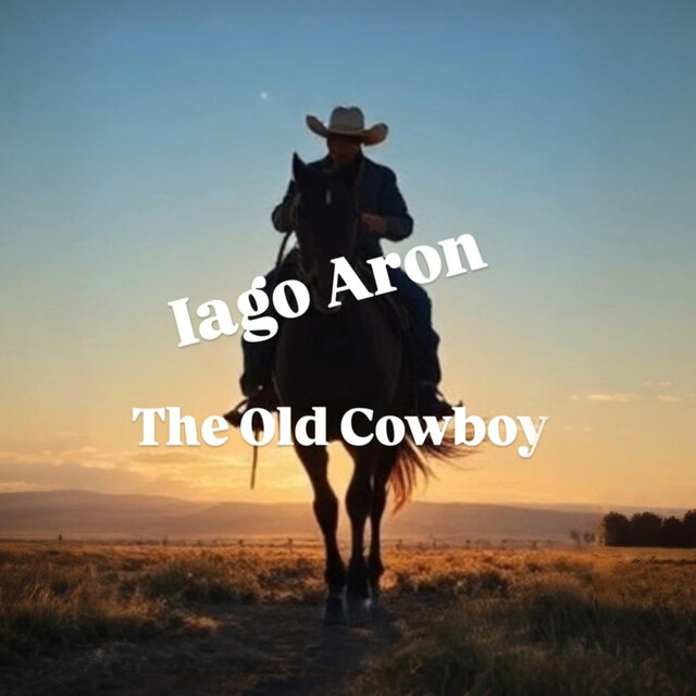 The Old Cowboy