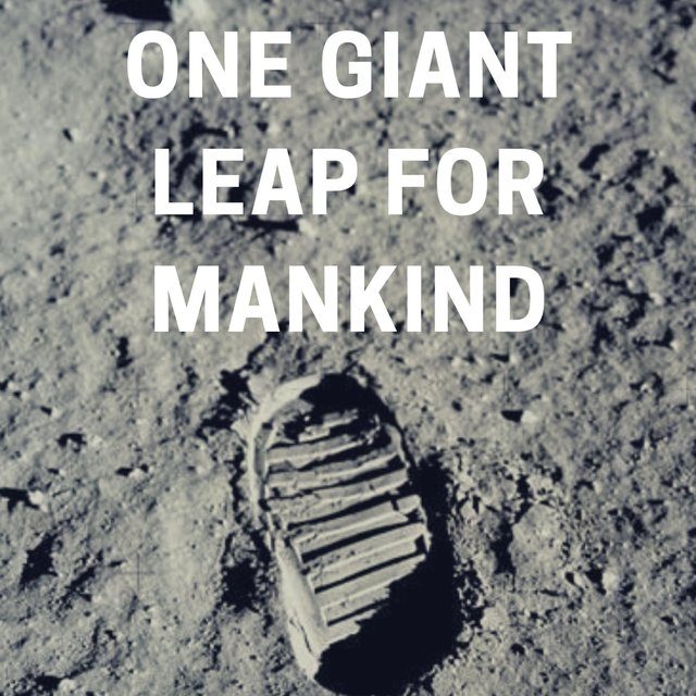 One Giant Leap for Mankind