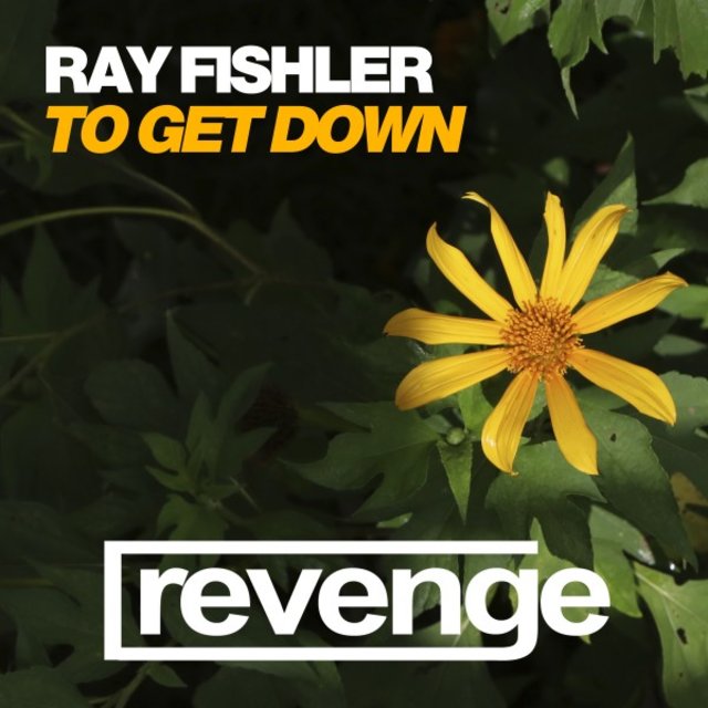 To Get Down (Jungle Jaxx Remix)