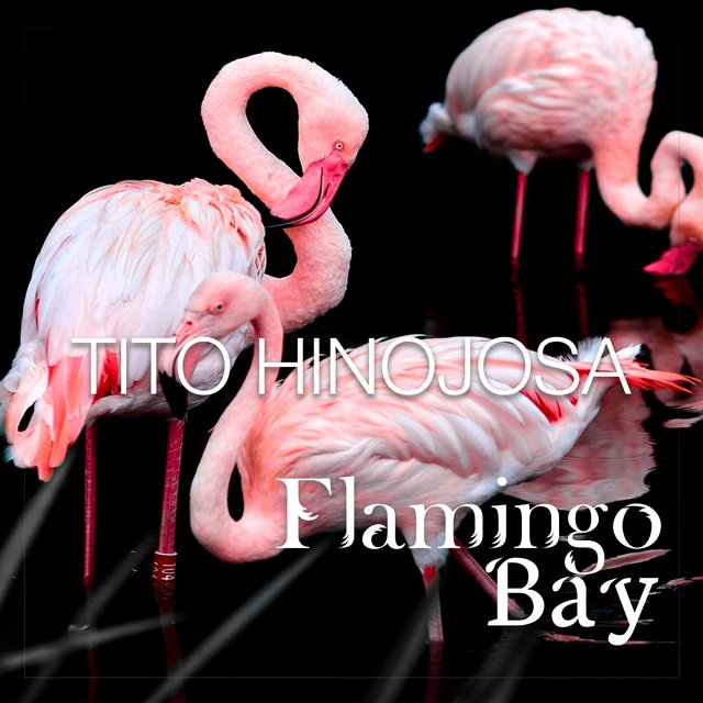 Flamingo Bay