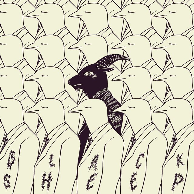 Black Sheep