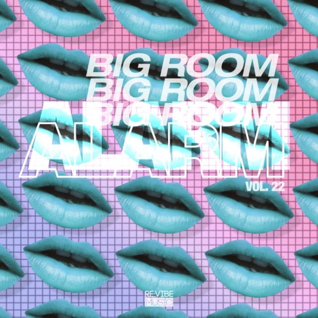 Big Room Alarm, Vol. 22