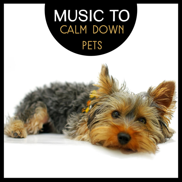 Music to Calm Down Pets: Relax Your Buddies, Pet Whisperer Sounds