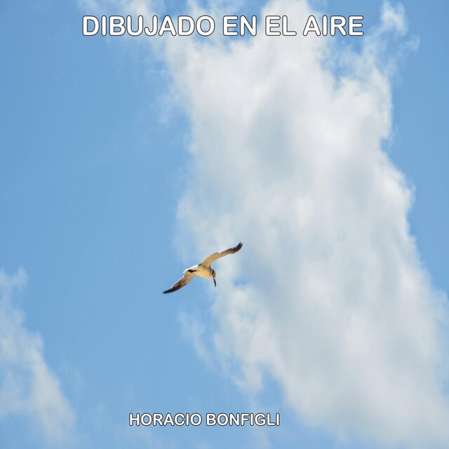 DIBUJADO EN EL AIRE