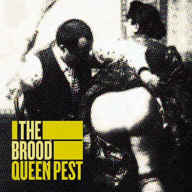 Queen Pest