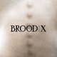 Cover art for album Brood X by BOSS HOG