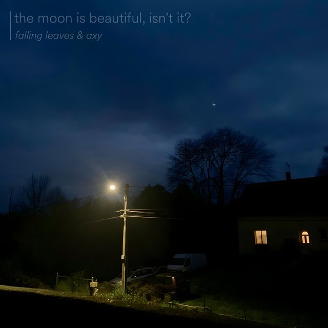 the moon is beautiful, isn't it?