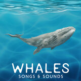 Whispers Of The Whales