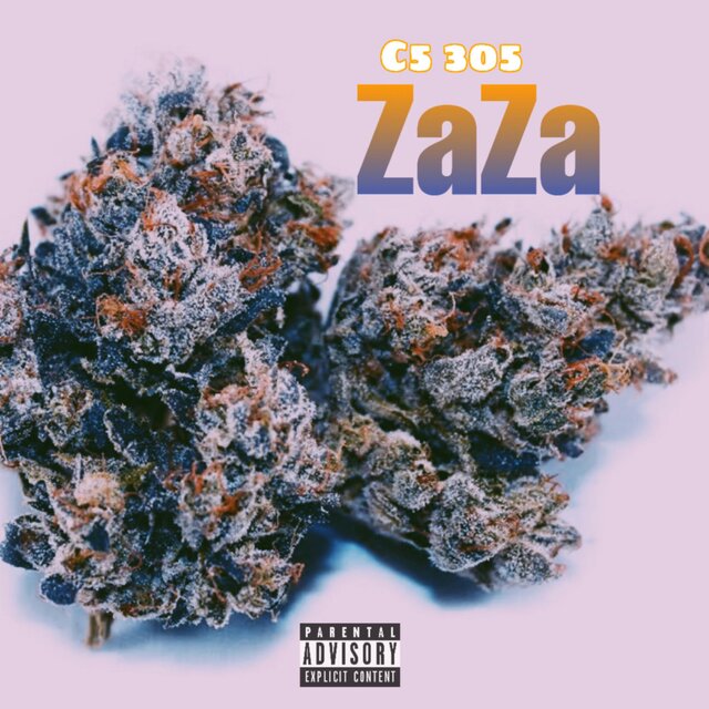 ZaZa