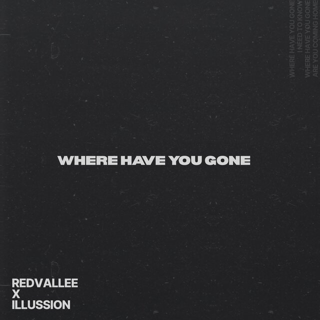 WHERE HAVE YOU GONE (feat. illussion)