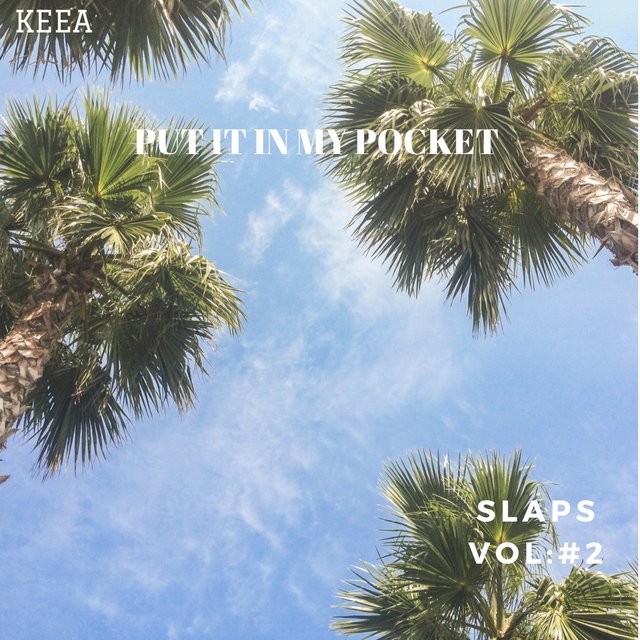 Put It in My Pocket: Slaps, Vol. 2