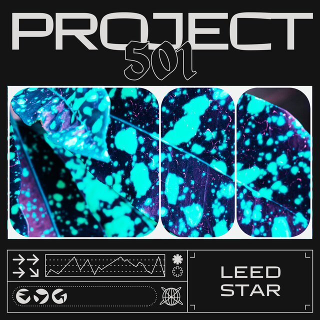 Project 501