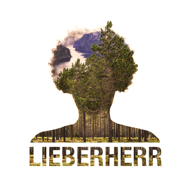 Lieberherr