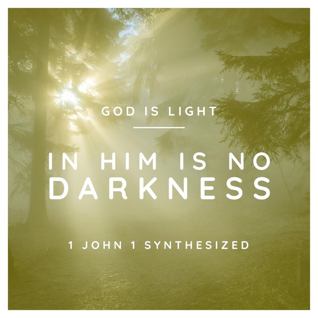 God Is Light in Him Is No Darkness: 1 John 1 Synthesized