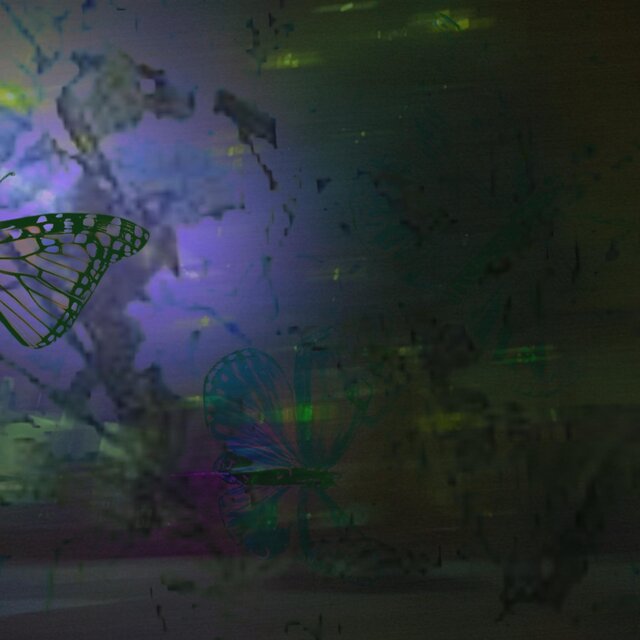 butterflies