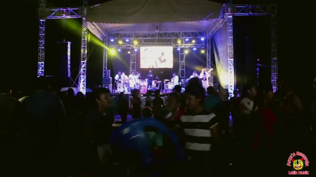 Sones Putlecos (En Vivo)
