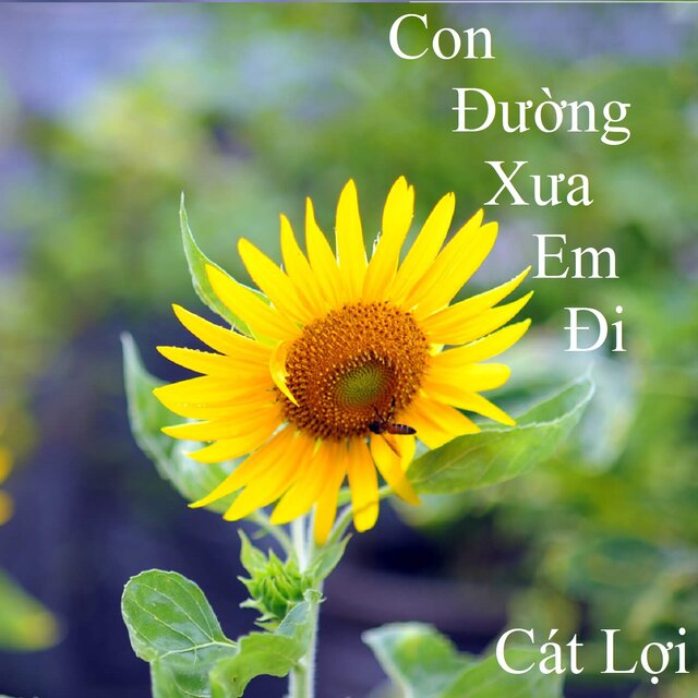 Con Đường Xưa Em Đi