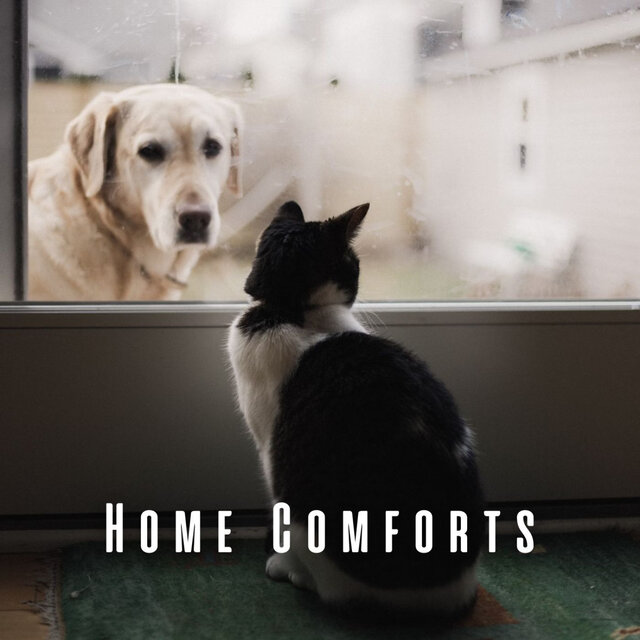 Home Comforts: Chill Music for Playful Pets