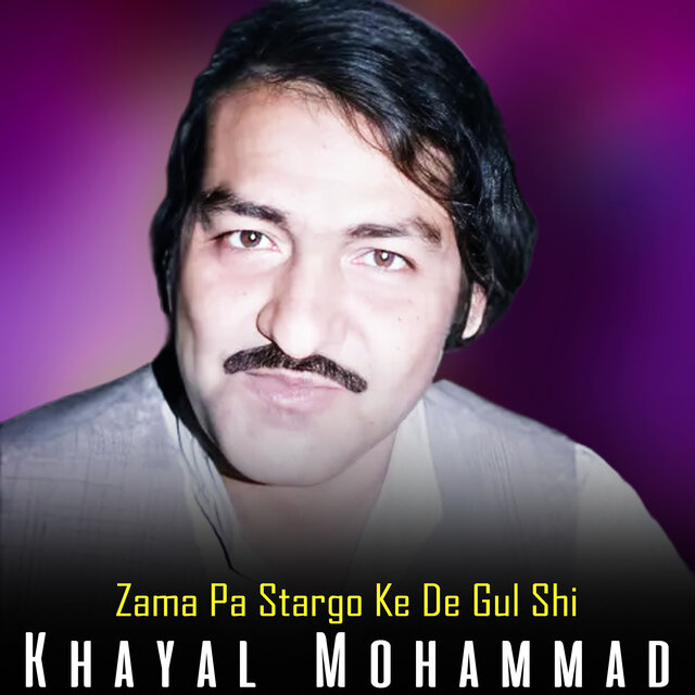 Zama Pa Stargo Ke De Gul Shi