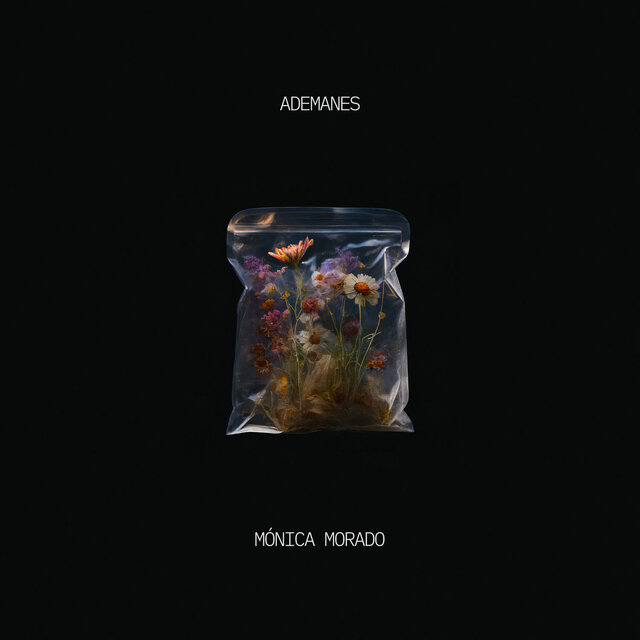 ADEMANES