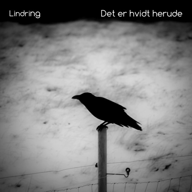 Det er hvidt herude
