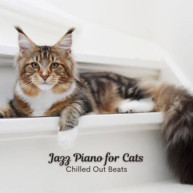 Jazz Piano for Cats: Chilled Out Beats