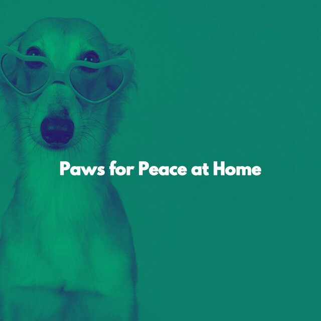 Paws for Peace at Home