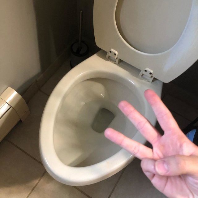 rectus goes acoustic vol. 3 (the poop saga)
