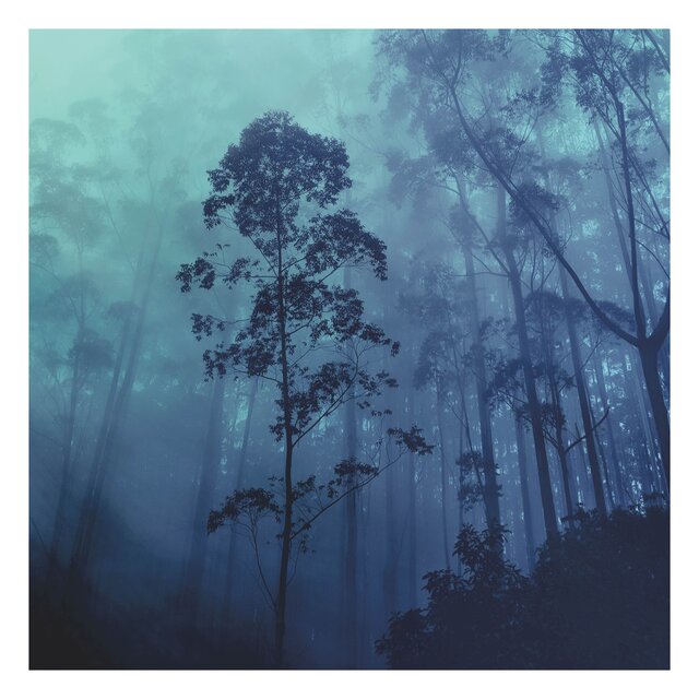 Silhouettes & Recollections