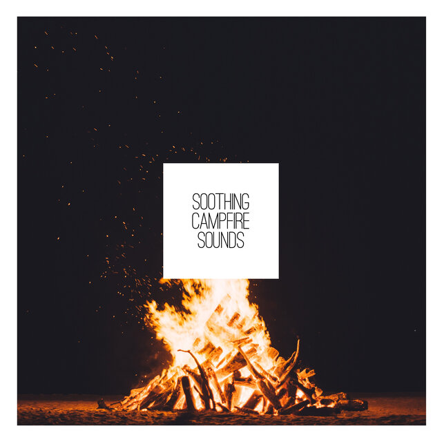 Soothing Campfire Sounds