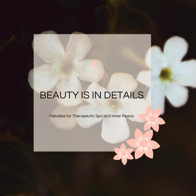 Beauty Is In Details - Melodies For Therapeutic Spa And Inner Peace