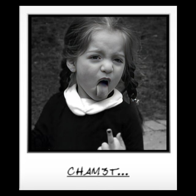 Chamet