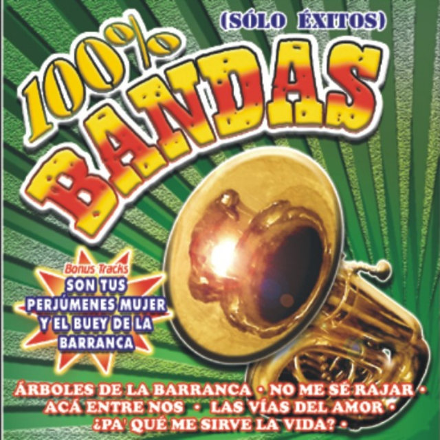 100% Bandas - Sólo Éxitos