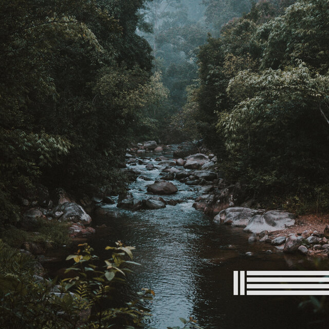 Small Creek In The Forest