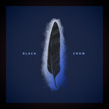 Black Crow