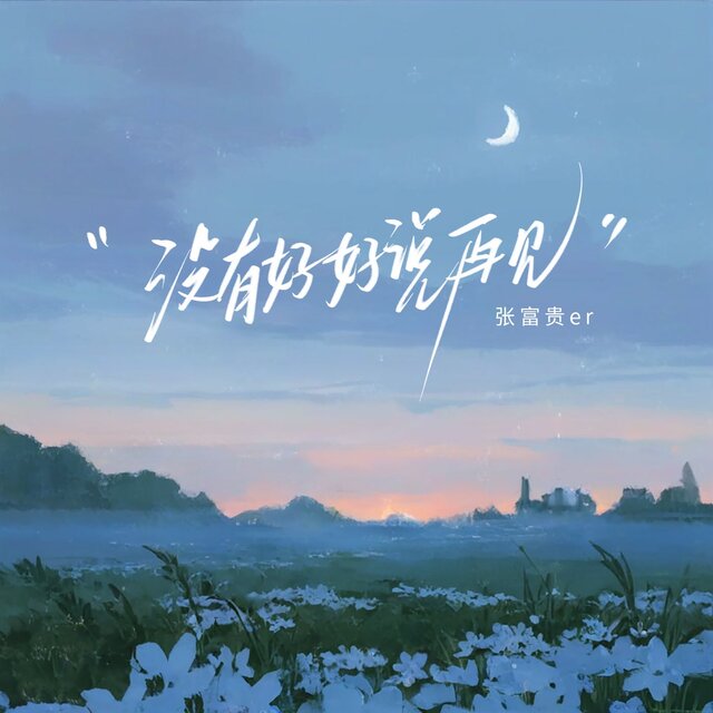 没有好好说再见
