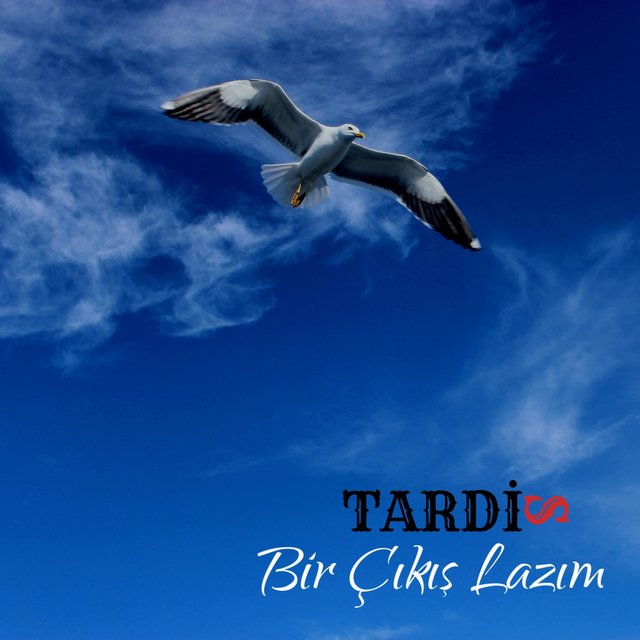 Bir Çıkış Lazım