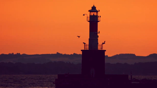 Faros