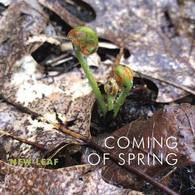 Coming of Spring