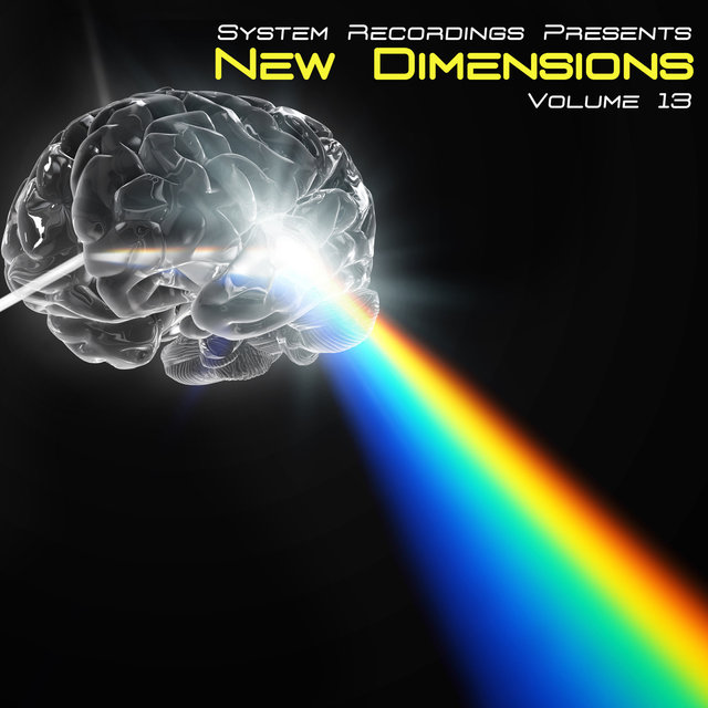 New Dimensions, Vol. 13
