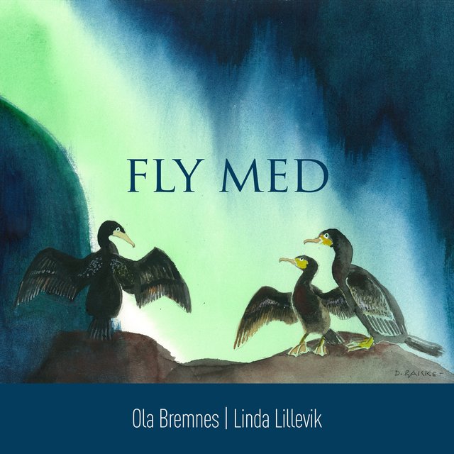 Fly med