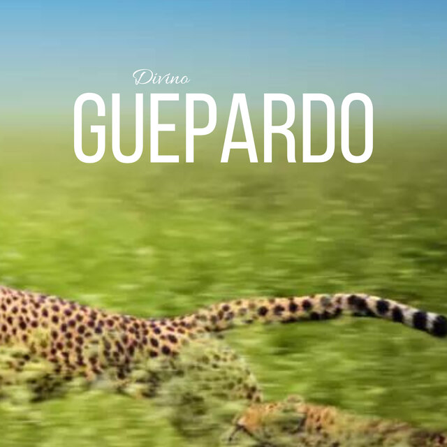 Guepardo