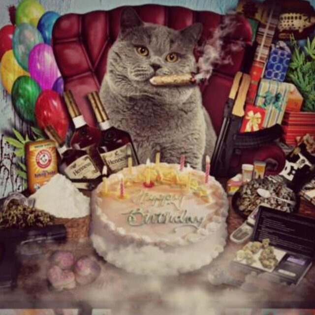 Happy Birthday Lingball