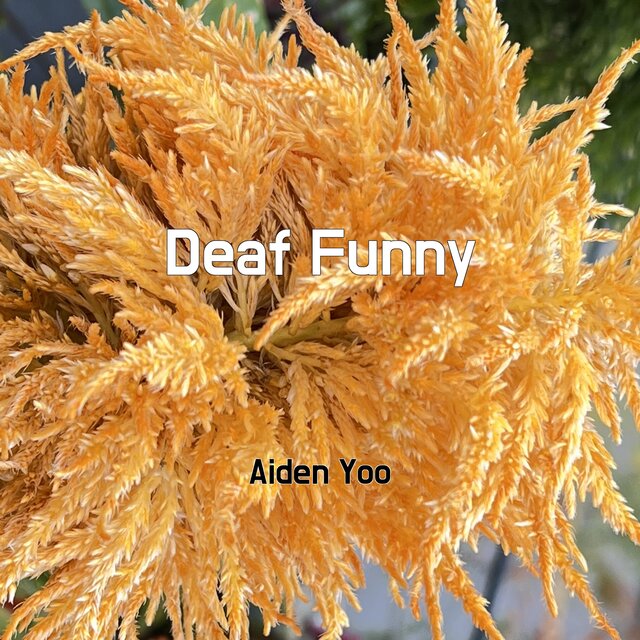 Deaf Funny
