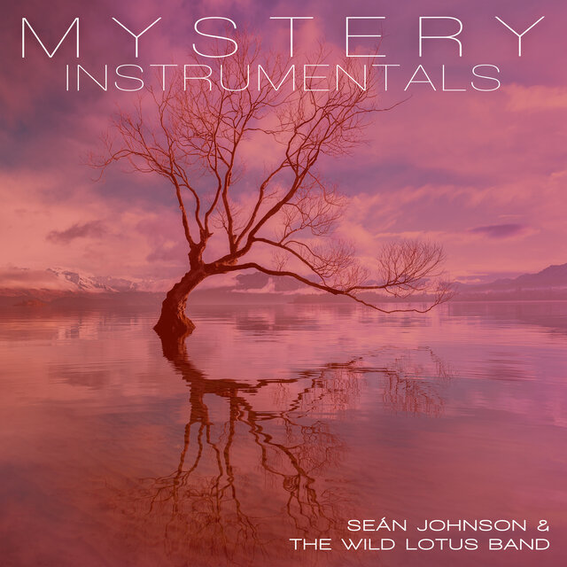 Mystery (Instrumental)