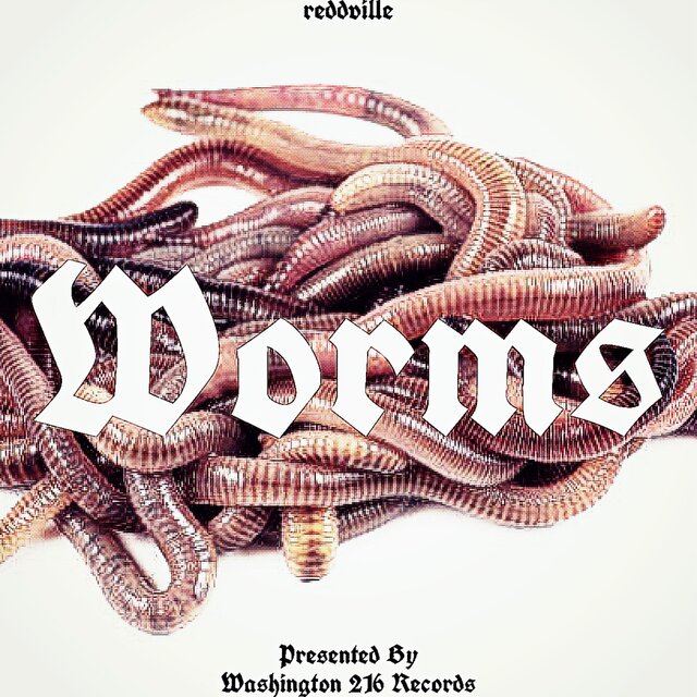 Worms (IV)